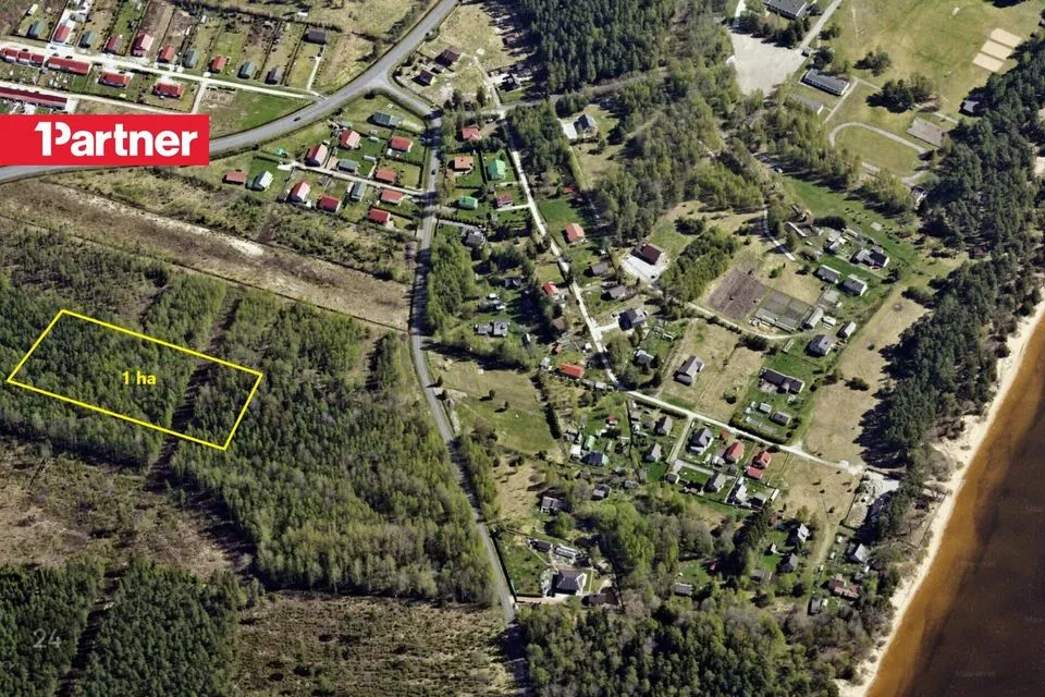 Maatulundusmaa, 10201 m² участок в Alutaguse vald, Remniku küla