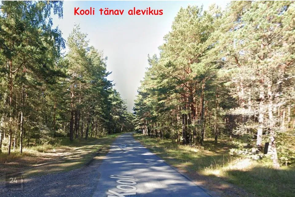 Maatulundusmaa, 24287 m² Maa  -  Häädemeeste vald, Häädemeeste alevik - foto 4