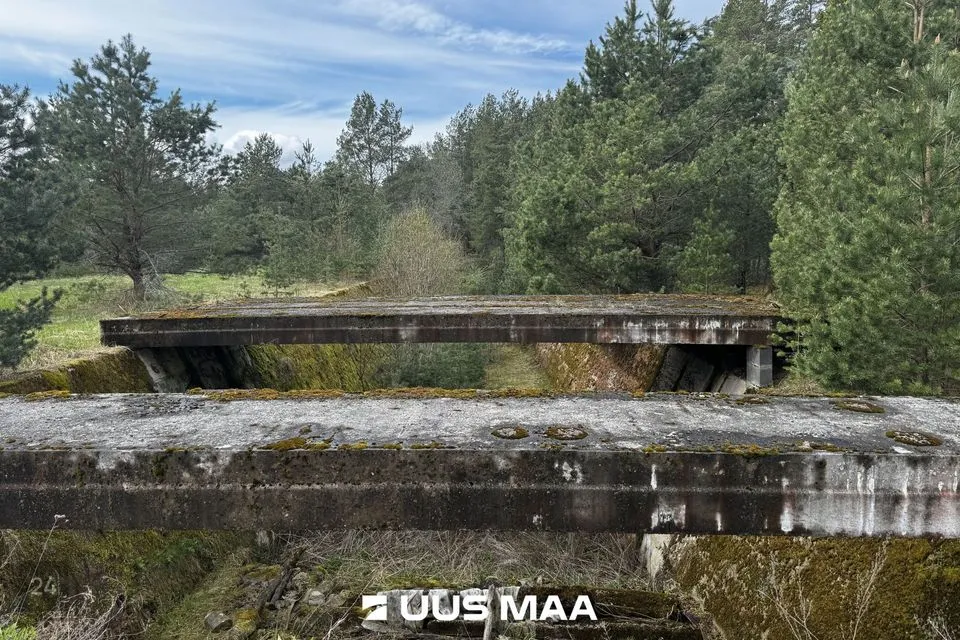 Земля производственного назначения, 2999 m² участок в Viru-Nigula vald, Pärna küla - фото 2