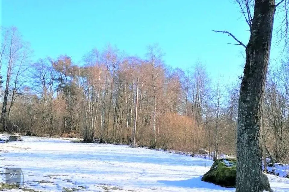 Maatulundusmaa, 7035 m² Maa - Jõelähtme vald, Kallavere küla - foto 5