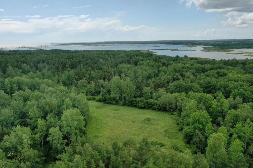 Maatulundusmaa, 89800 m² Maa - Saaremaa vald, Kõiguste küla - foto 2