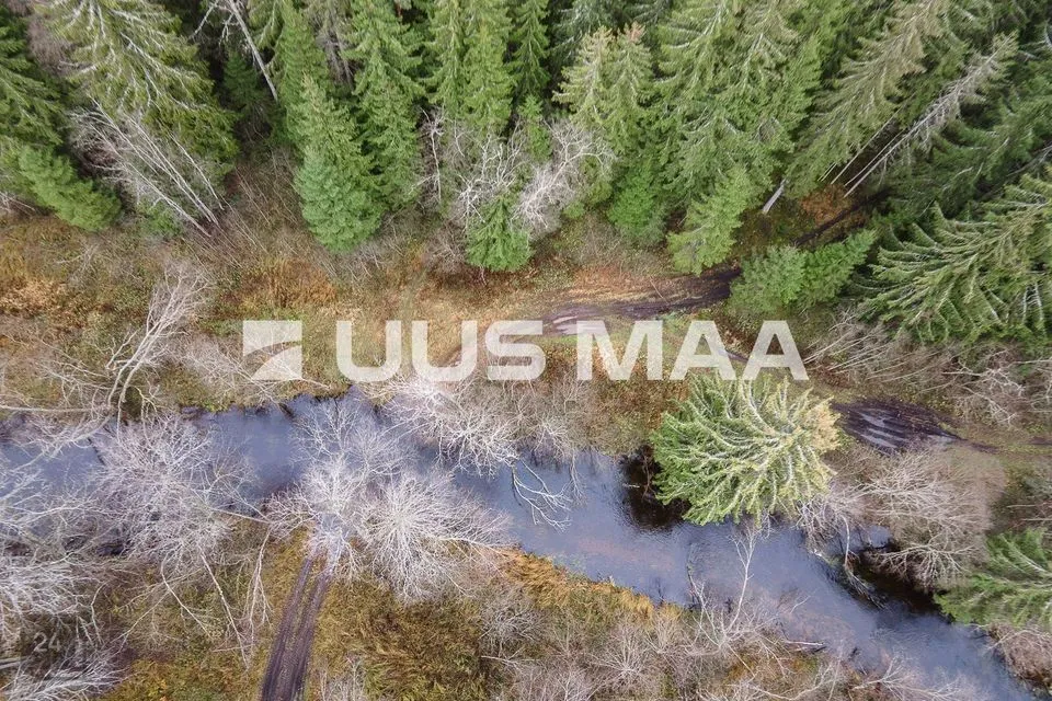 Elamumaa, 20241 m² Maa  -  Kanepi vald, Jõgehara küla