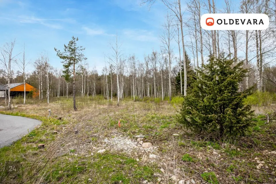 Elamumaa, 1510 m² Maa - Saue vald, Aila küla - foto 4