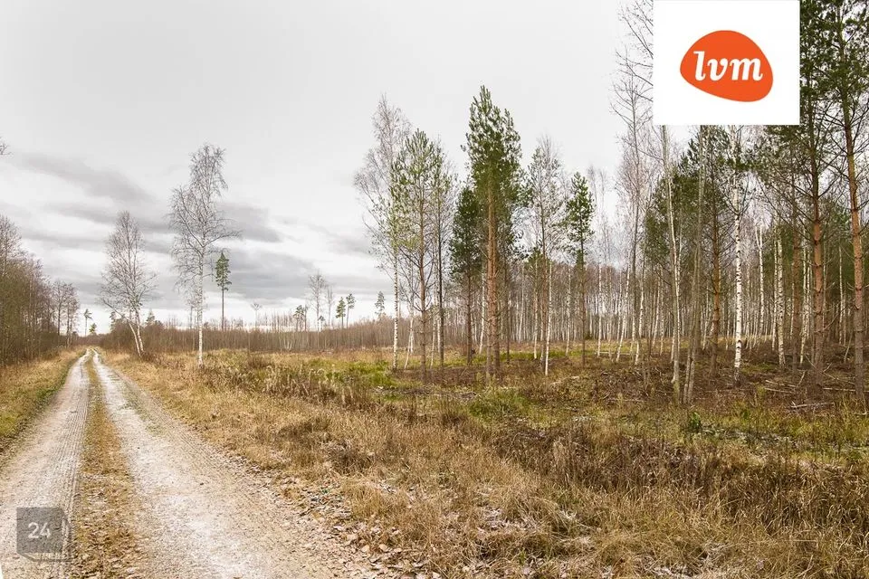 Tootmismaa, 12920 m² Maa - Pärnu linn, Papsaare küla - foto 4