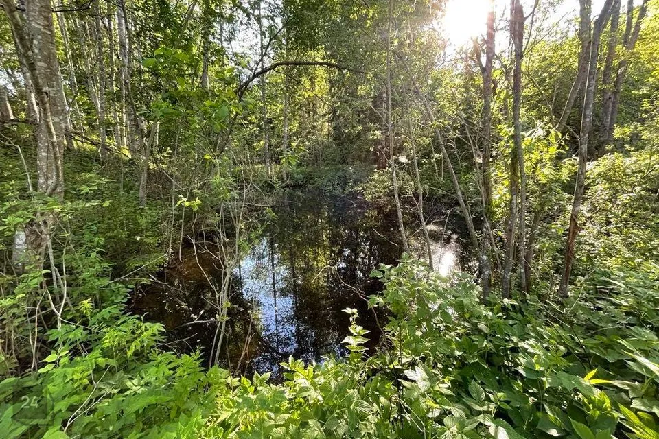 3-комнатная дом в Viljandi vald, Leie küla - фото 3