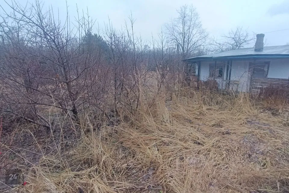 1-toaline Suvila  -  Kohtla-Järve linn, Järve linnaosa - foto 5