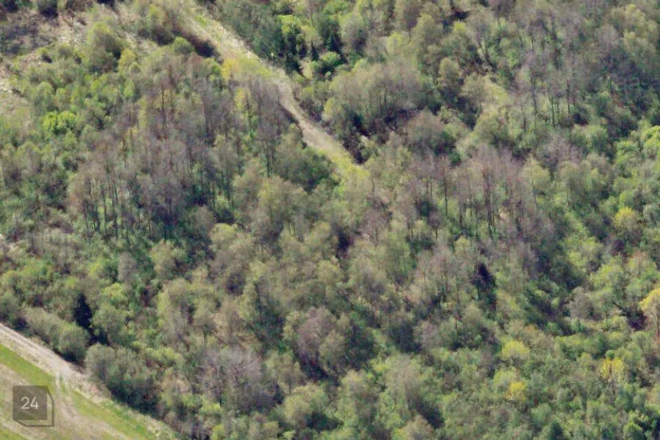 Elamumaa, 13515 m² Maa - Rae vald, Vaskjala küla - foto 4