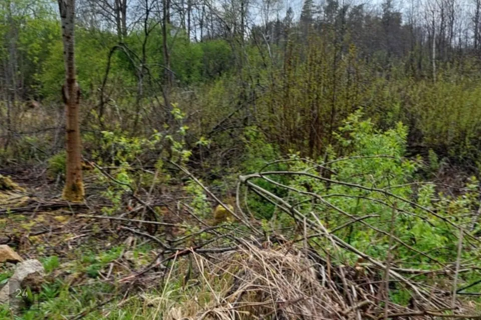 Земля жилой застройки, 9950 m² участок в Raasiku vald, Aruküla alevik - фото 2