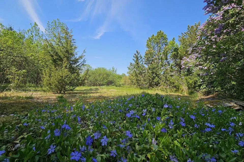 Residential land, 1005 m² land in Lääne-Harju vald, Tuulna küla - photo 4