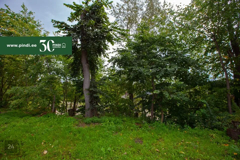 Mitme sihtotstarbega, 590 m² Äripind  -  Narva linn - foto 3