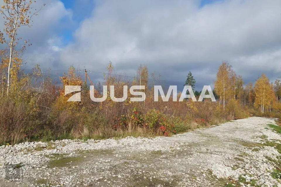 Elamumaa, 2023 m² Maa  -  Alutaguse vald, Kuru küla