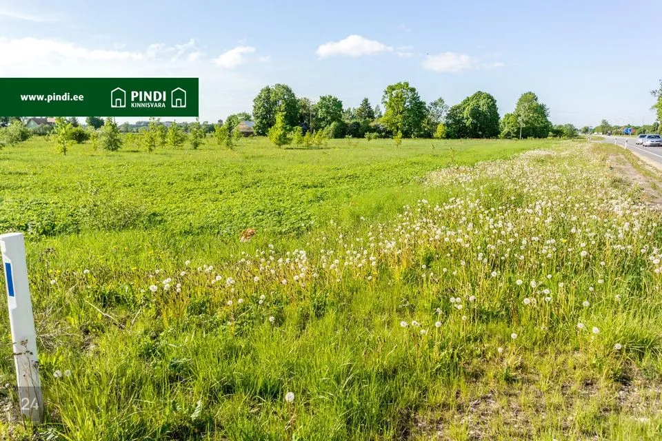 Maatulundusmaa, 21532 m² Maa - Kohtla-Järve linn, Ahtme linnaosa - foto 5