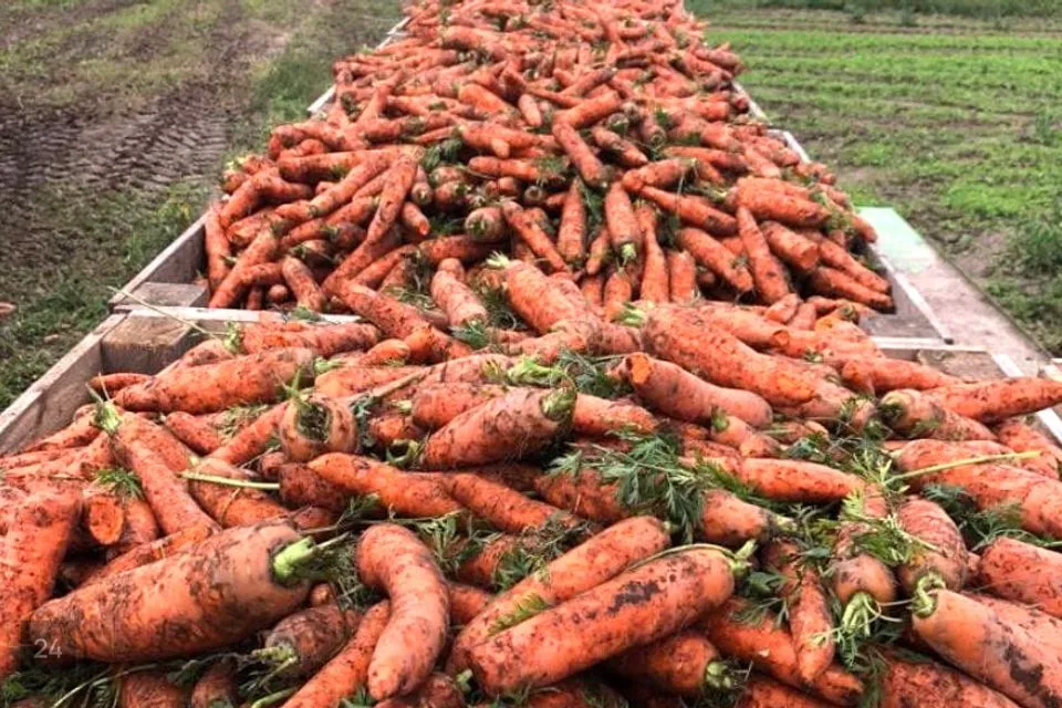 Maatulundusmaa, 64772 m² Maa  -  Räpina vald, Meelva küla