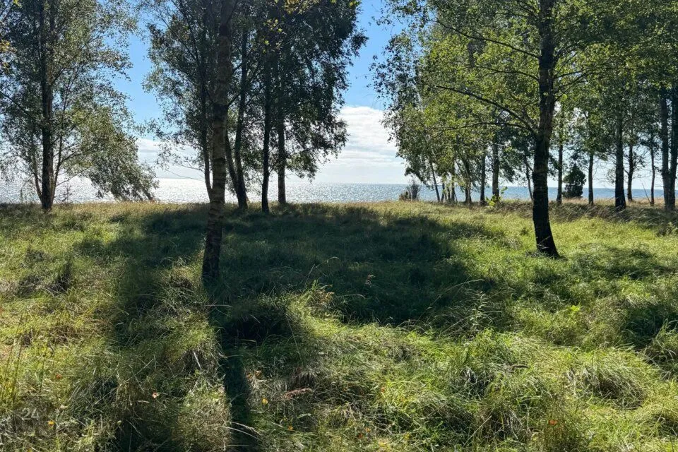 Elamumaa, 5505 m² Maa - Saaremaa vald, Mõntu küla - foto 2