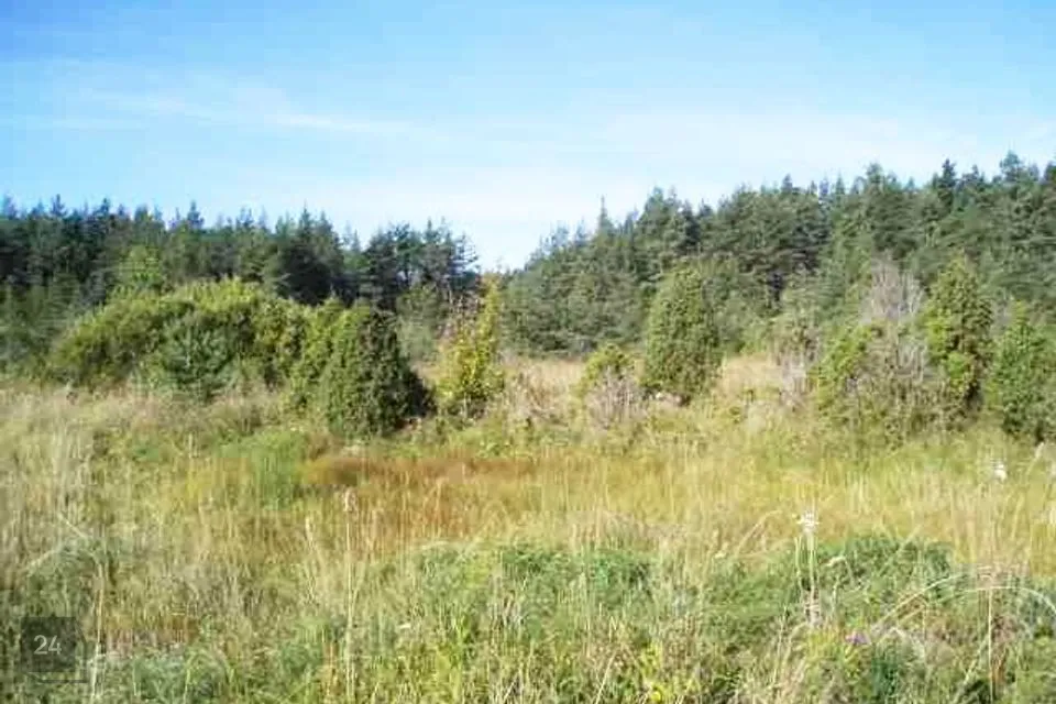 3-toaline Maja  -  Hiiumaa vald, Vahtrepa küla - foto 5