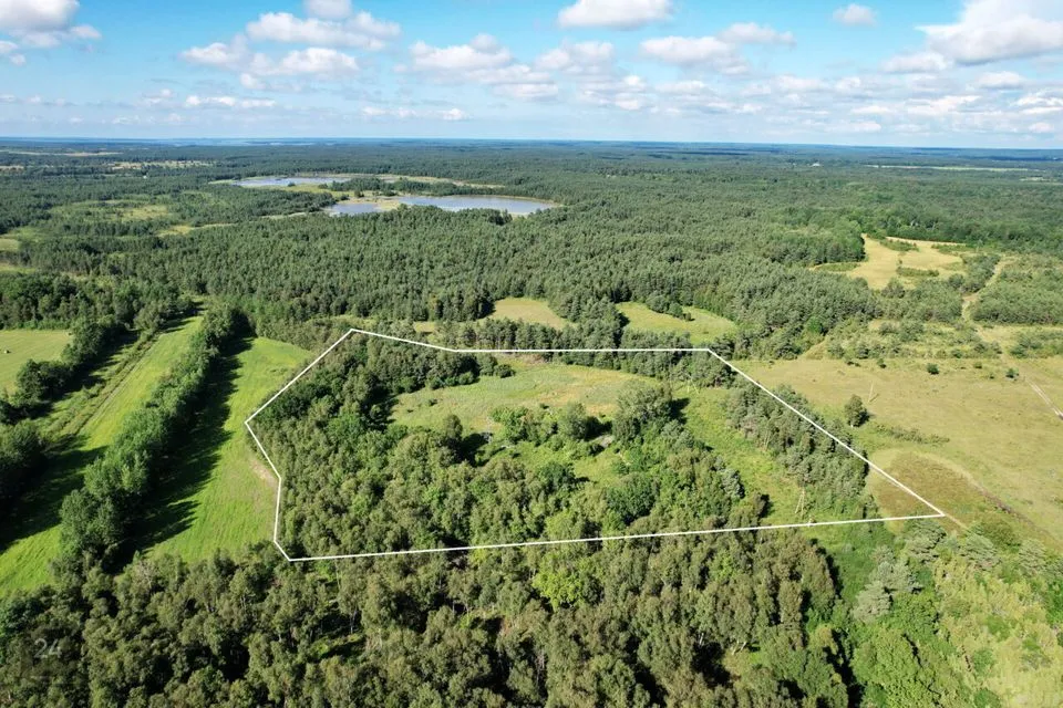 Elamumaa, 30242 m² Maa - Saaremaa vald, Karala küla - foto 5