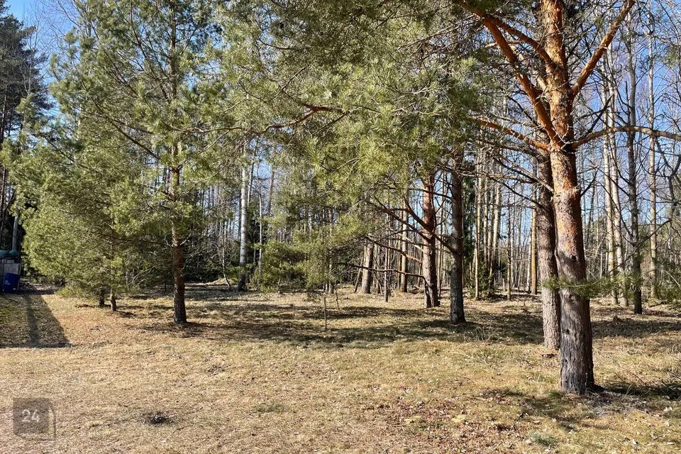 Земля жилой застройки, 1336 m² участок в Alutaguse vald, Karjamaa küla - фото 4