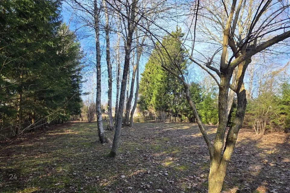 Maatulundusmaa, 2981 m² участок в Saaremaa vald, Salme alevik