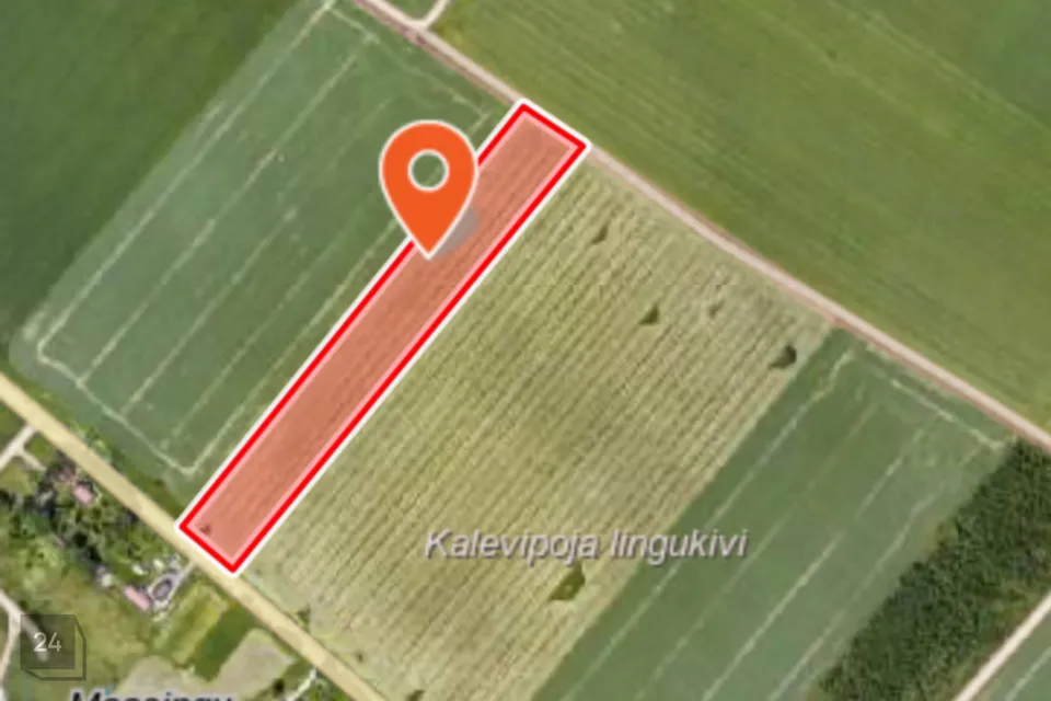 Maatulundusmaa, 17057 m² участок в Tartu vald, Saadjärve küla - фото 2