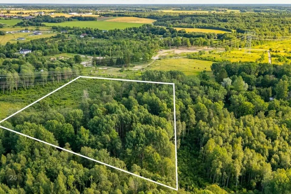 Maatulundusmaa, 20051 m² Maa - Saue vald, Püha küla