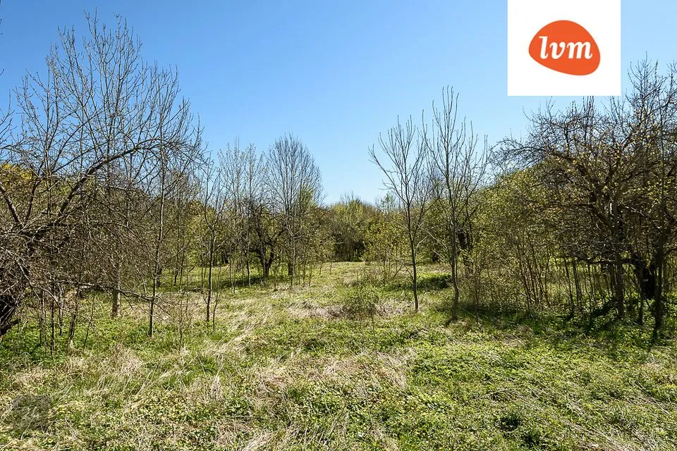 Elamumaa, 10224 m² Maa  -  Saaremaa vald, Kõljala küla - foto 4