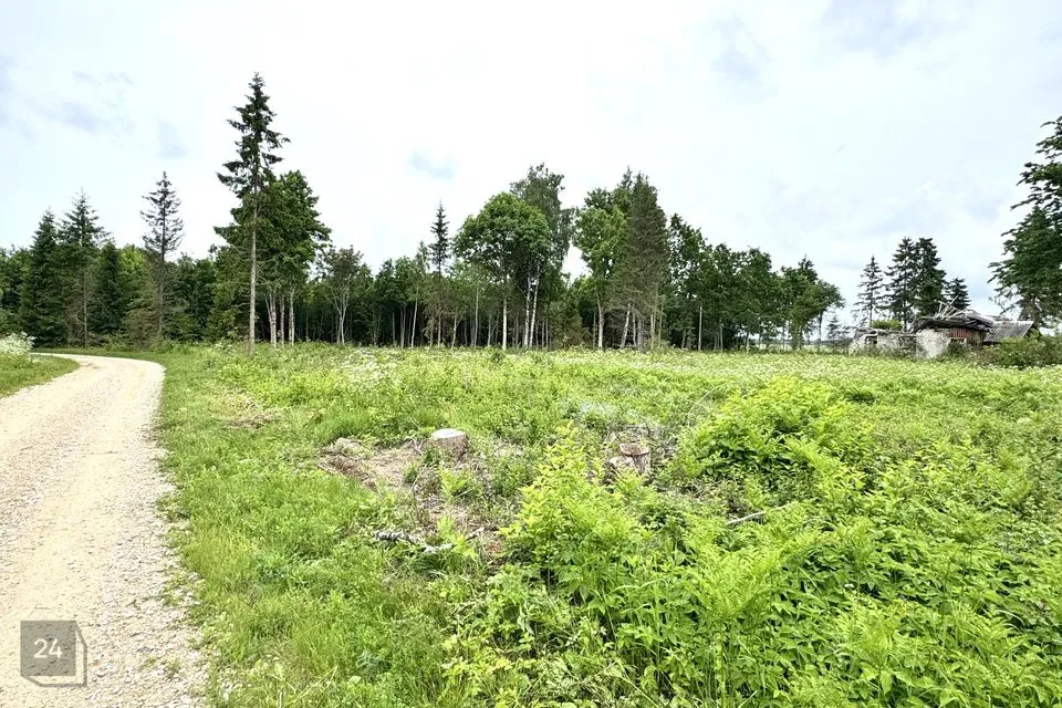 Maatulundusmaa, 25469 m² Maa  -  Rapla vald, Seli-Nurme küla - foto 5