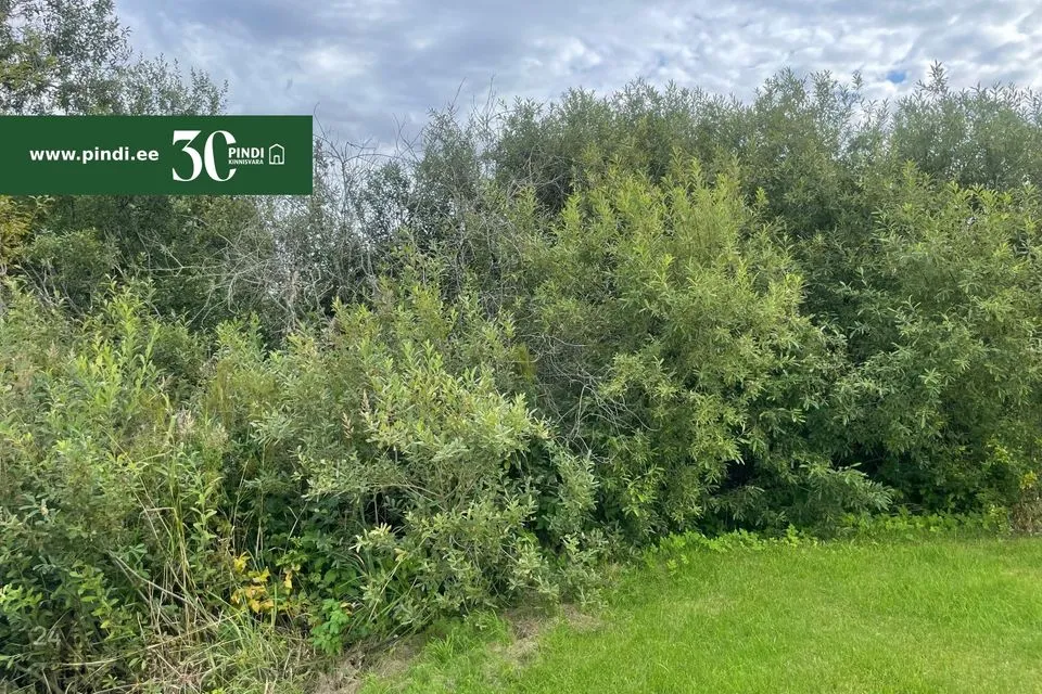 Elamumaa, 4655 m² Maa - Häädemeeste vald, Tahkuranna küla - foto 4