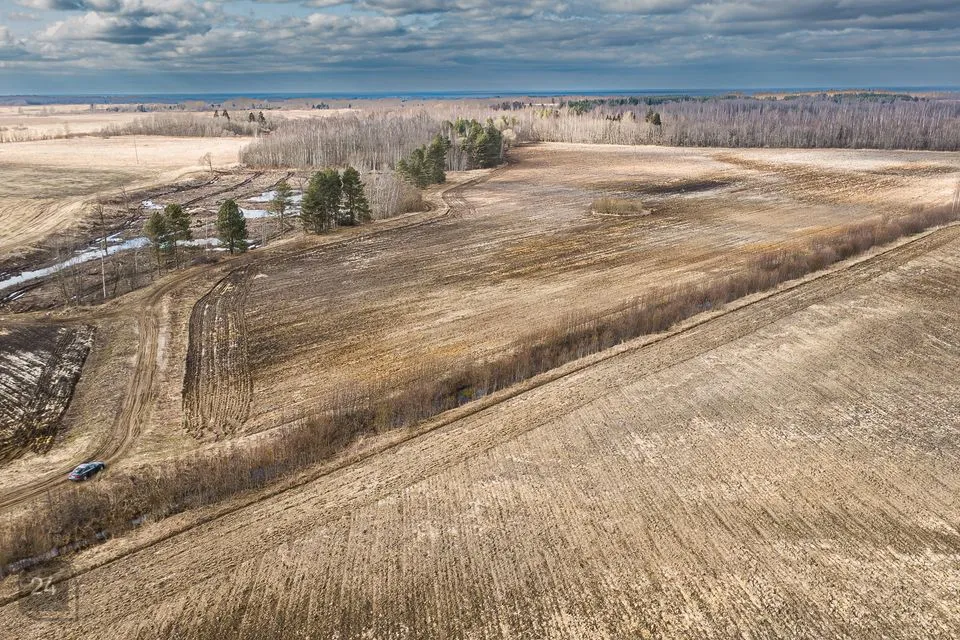 Maatulundusmaa, 117797 m² участок в Narva-Jõesuu linn, Udria küla - фото 4