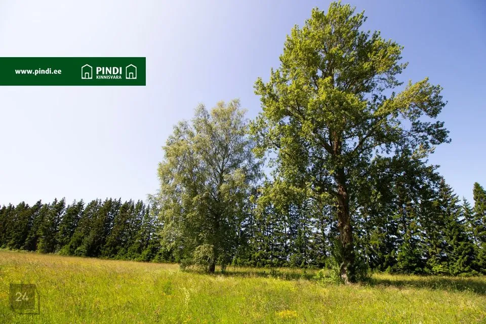 Sotsiaalmaa - ühiskondlike ehitiste maa, 13148 m² Maa  -  Lääne-Nigula vald, Pürksi küla / Birkas - foto 2