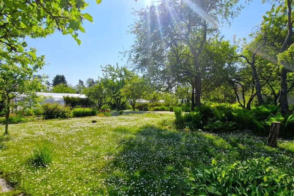 3-toaline Maja - Kohila vald, Aespa alevik - foto 4