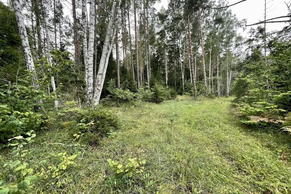 Maatulundusmaa, 25900 m² участок в Saaremaa vald, Hänga küla - фото 3