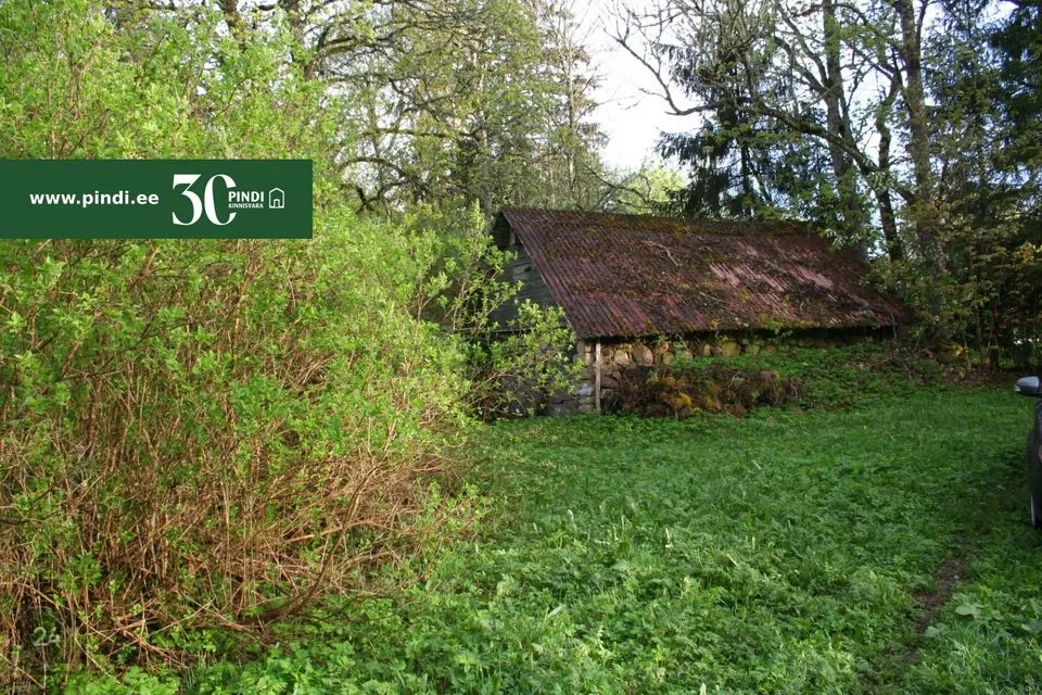 Maja - Põhja-Pärnumaa vald, Eametsa küla - foto 5