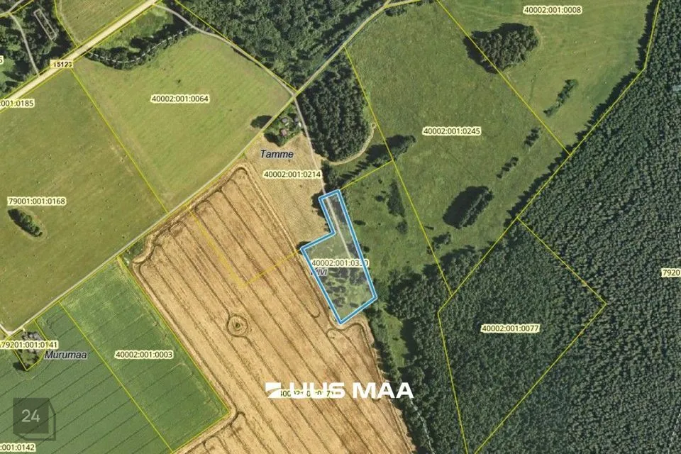Земля жилой застройки, 15133 m² участок в Tapa vald, Tõõrakõrve küla - фото 2