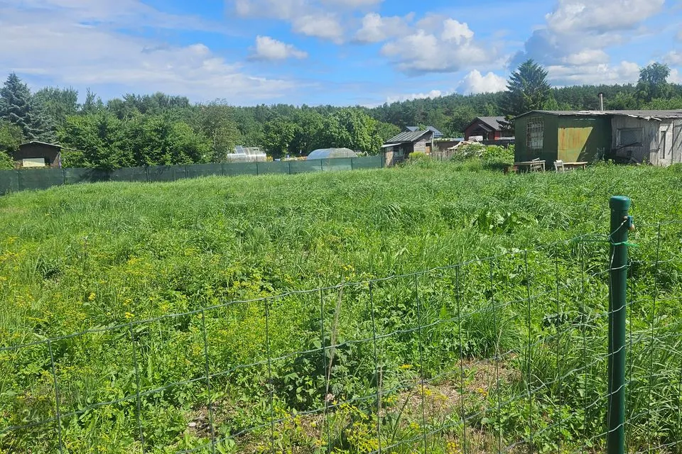 Maatulundusmaa, 1127 m² Maa  -  Jõelähtme vald, Ülgase küla - foto 3