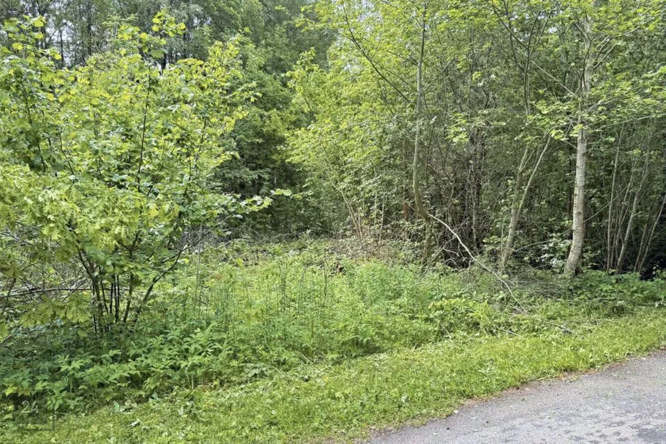 Elamumaa, 7364 m² Maa - Jõelähtme vald, Kallavere küla - foto 4
