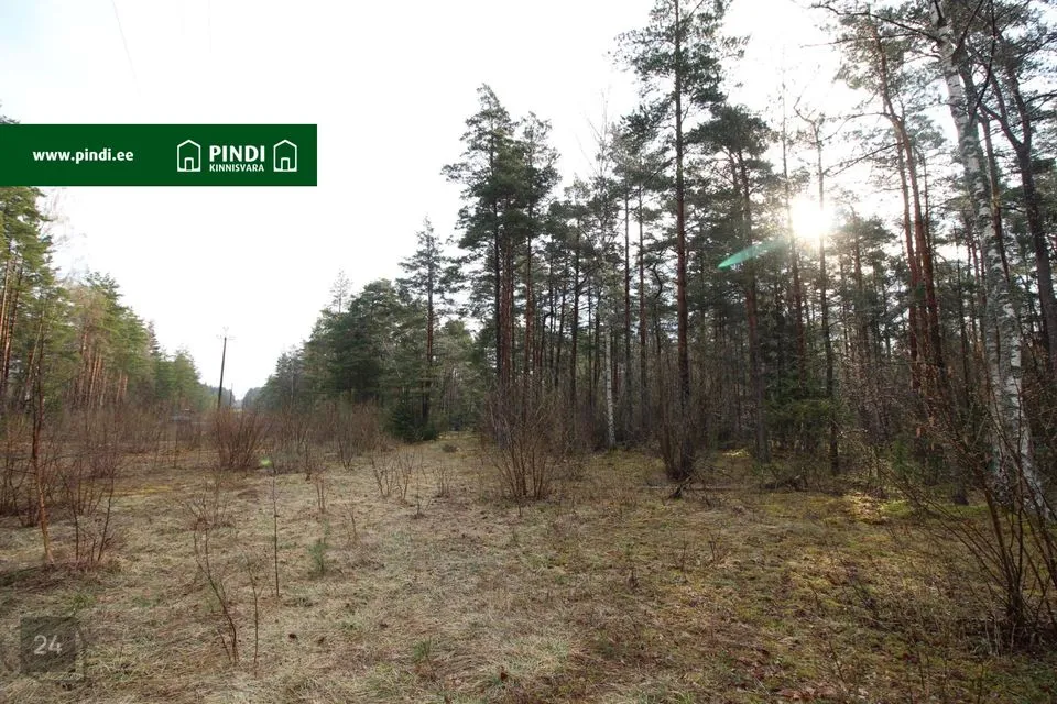 Maatulundusmaa, 13961 m² участок в Hiiumaa vald, Vahtrepa küla - фото 3