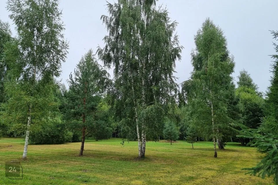 Transpordimaa, 15096 m² Maa  -  Häädemeeste vald, Reiu küla - foto 3