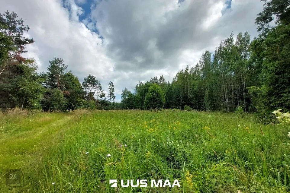 Maatulundusmaa, 40636 m² Maa  -  Saarde vald, Kanaküla - foto 2