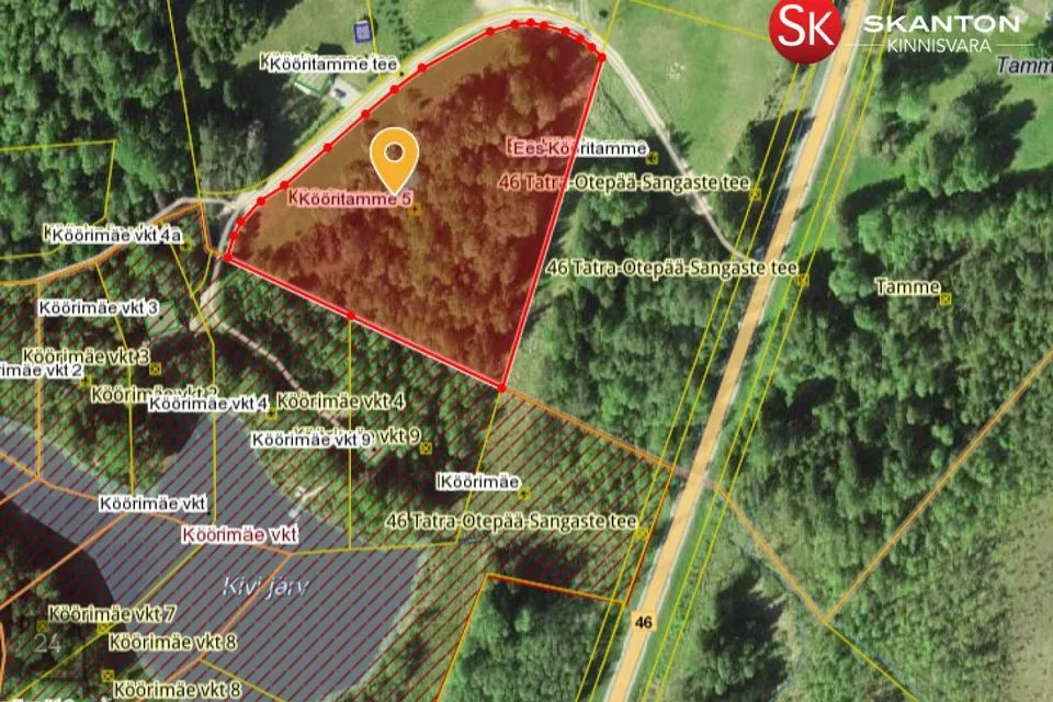 Maatulundusmaa, 10030 m² Maa - Otepää vald, Nüpli küla - foto 2