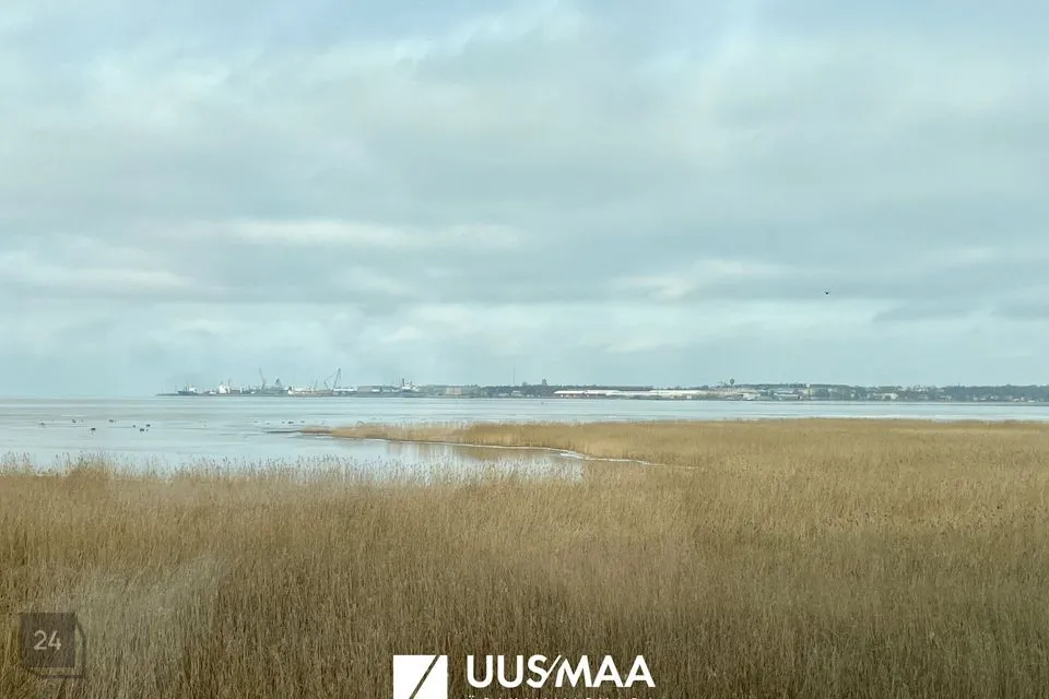 Büroo, 320 m² Äripind - Tallinn, Haabersti linnaosa - foto 3