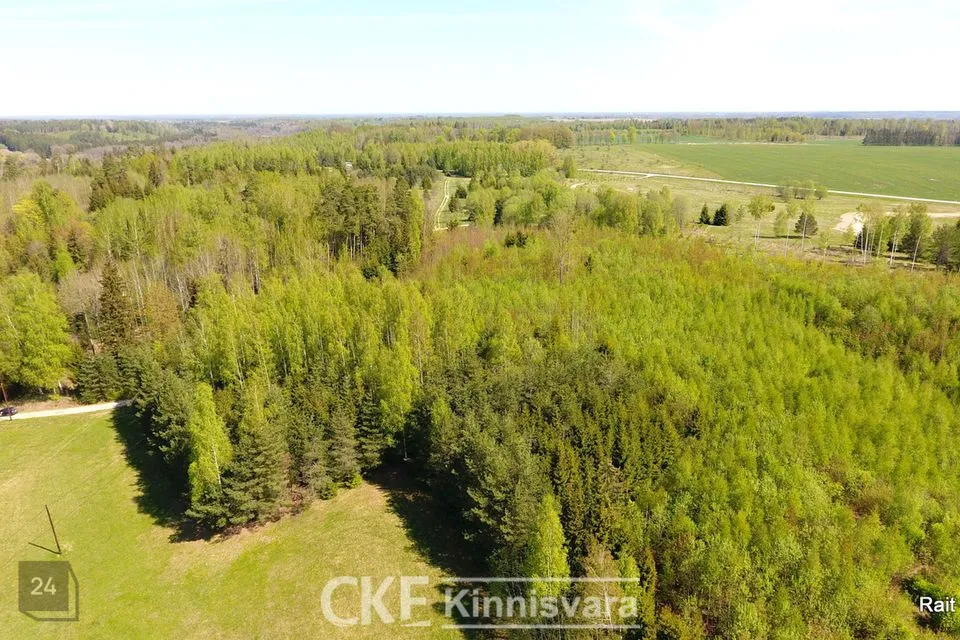 Maatulundusmaa, 21700 m² Maa  -  Elva vald, Mäeotsa küla - foto 5