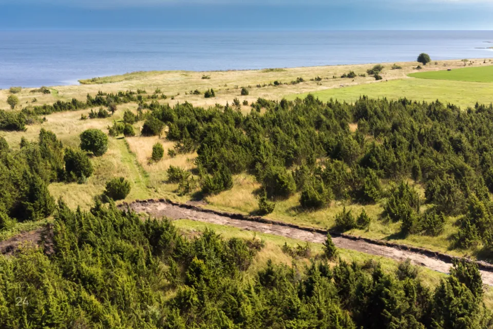 Земля жилой застройки, 5419 m² участок в Saaremaa vald, Suure-Rootsi küla - фото 5