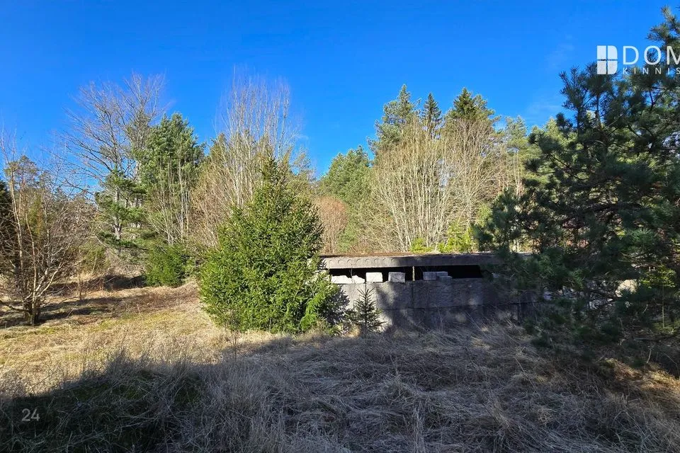 Земля жилой застройки, 10000 m² участок в Saaremaa vald, Viki küla - фото 5