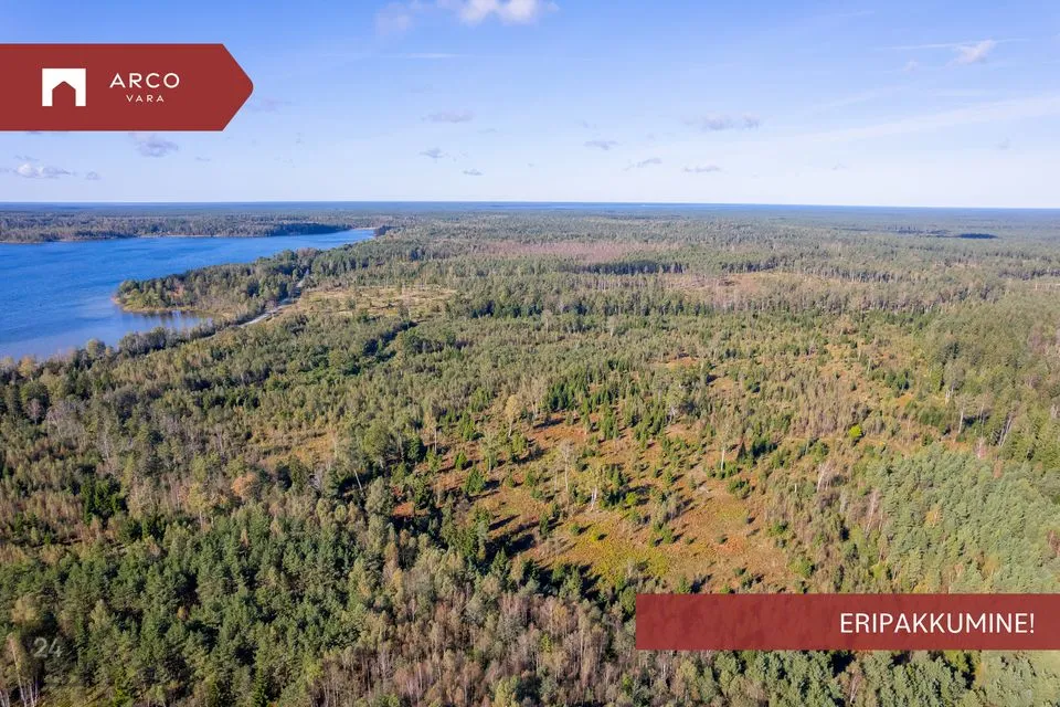 Ärimaa, 282200 m² Maa  -  Saaremaa vald, Nõmpa küla - foto 3