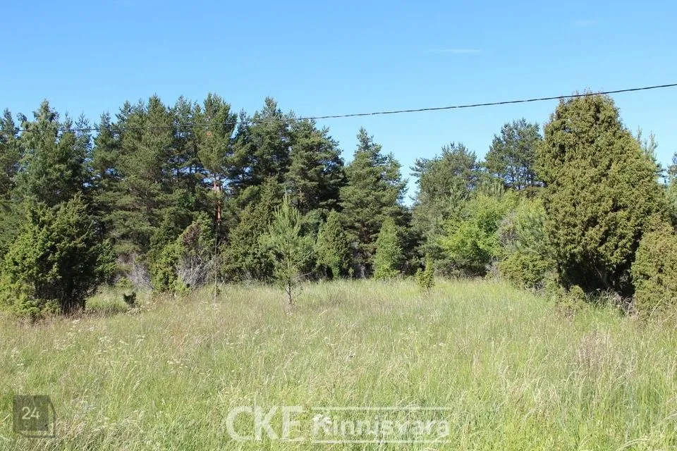 Maatulundusmaa, 15000 m² Maa - Kihelkonna vald, Tagamõisa küla - foto 2