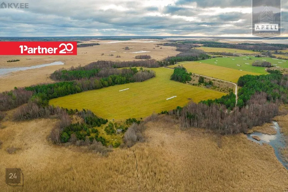 Maatulundusmaa, 114871 m² Maa  -  Lääne-Nigula vald, Saare küla / Lyckholm - foto 5