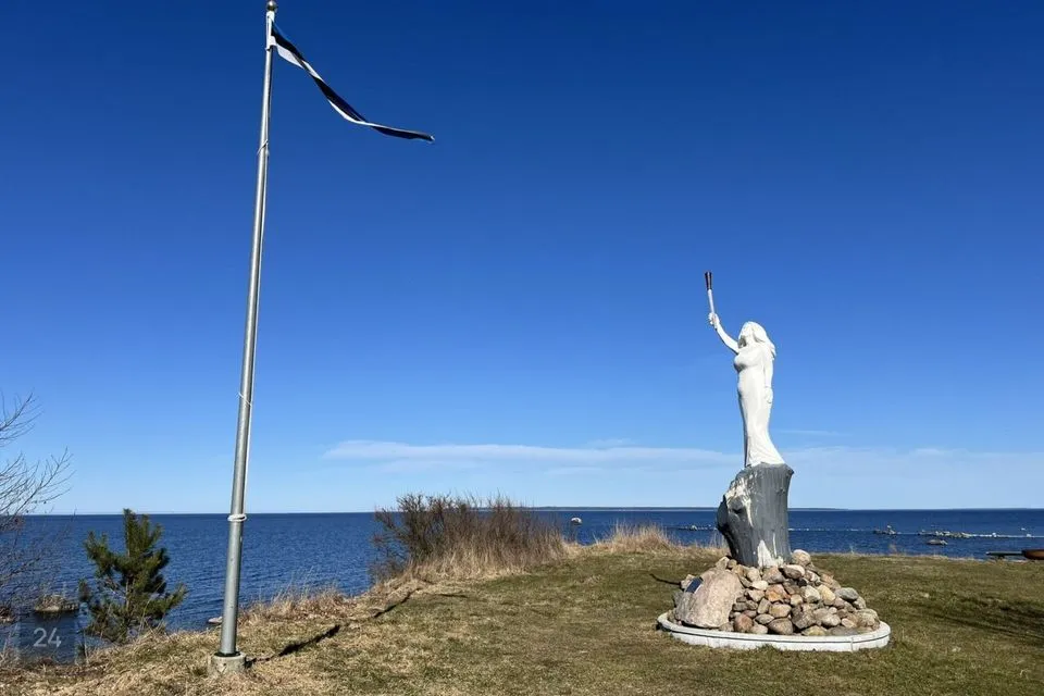 Elamumaa, 10238 m² Maa  -  Harku vald, Suurupi küla - foto 3