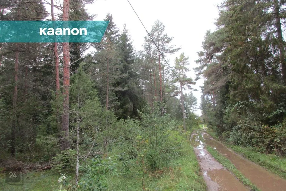 23498 m² Maa - Lääne-Harju vald, Lehola küla - foto 2