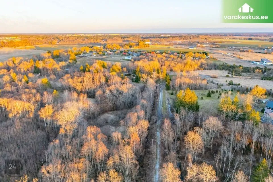 Maatulundusmaa, 20051 m² Maa - Saue vald, Püha küla - foto 3