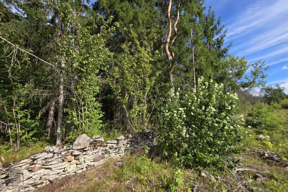 Maatulundusmaa, 27598 m² Maa  -  Lääne-Harju vald, Ohtu küla - foto 4